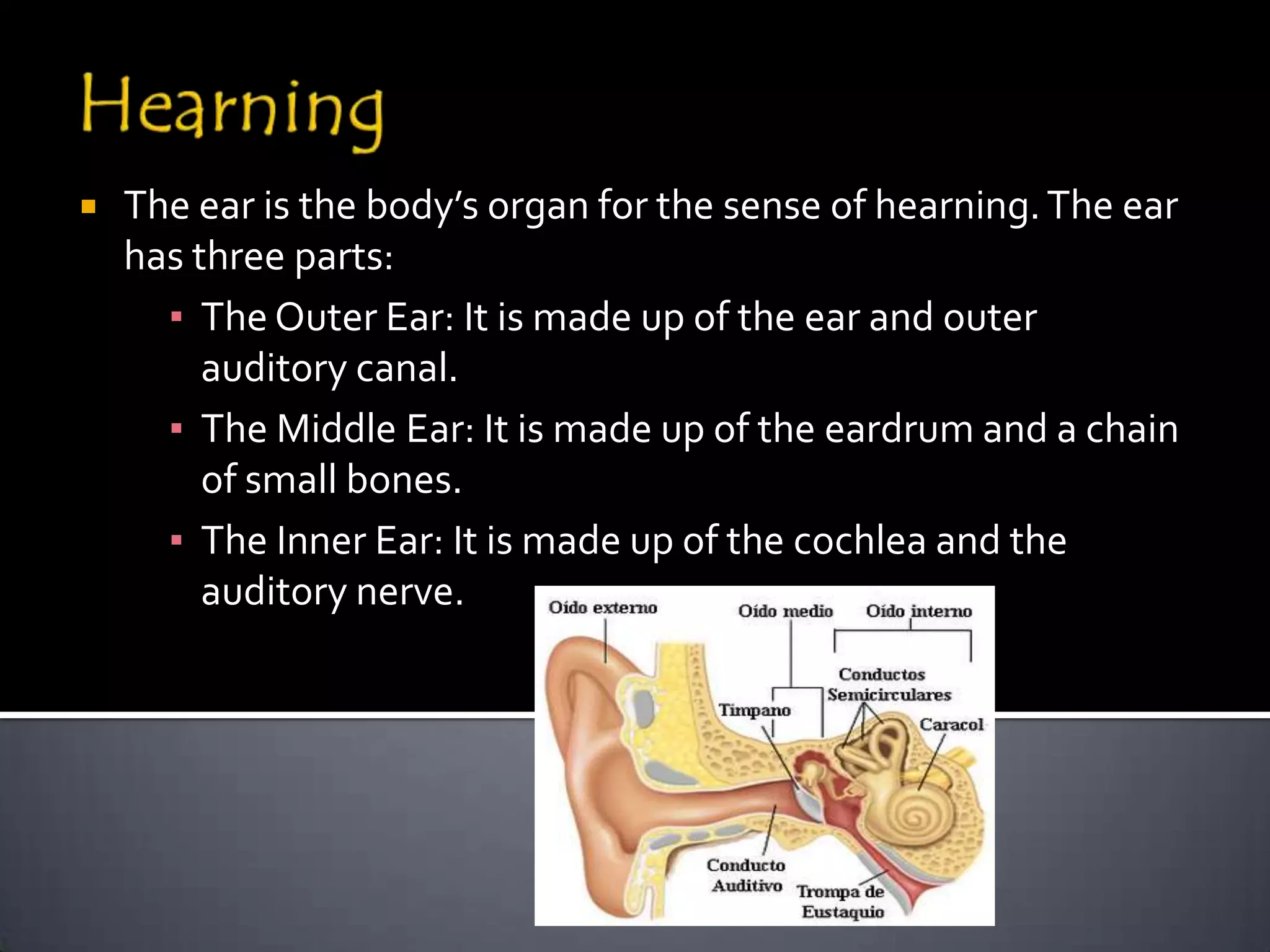    The ear is the body’s organ for the sense of hearning. The ear
    has three parts:
      ▪ The Outer Ear: It is made up of the ear and outer
         auditory canal.
      ▪ The Middle Ear: It is made up of the eardrum and a chain
         of small bones.
      ▪ The Inner Ear: It is made up of the cochlea and the
         auditory nerve.
 
