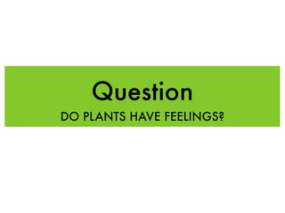 Question
DO PLANTS HAVE FEELINGS?
 