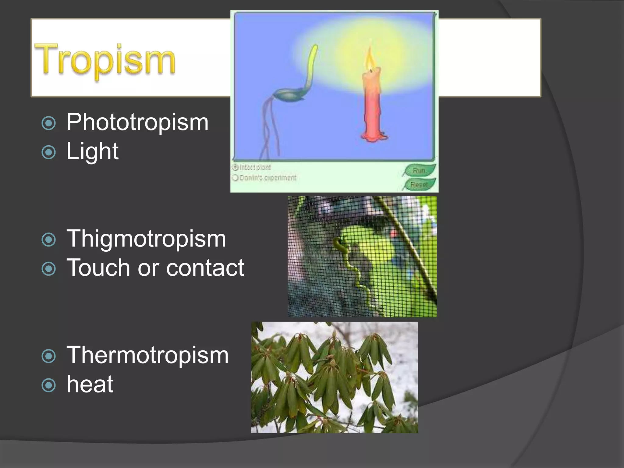    Phototropism
   Light


   Thigmotropism
   Touch or contact


   Thermotropism
   heat
 