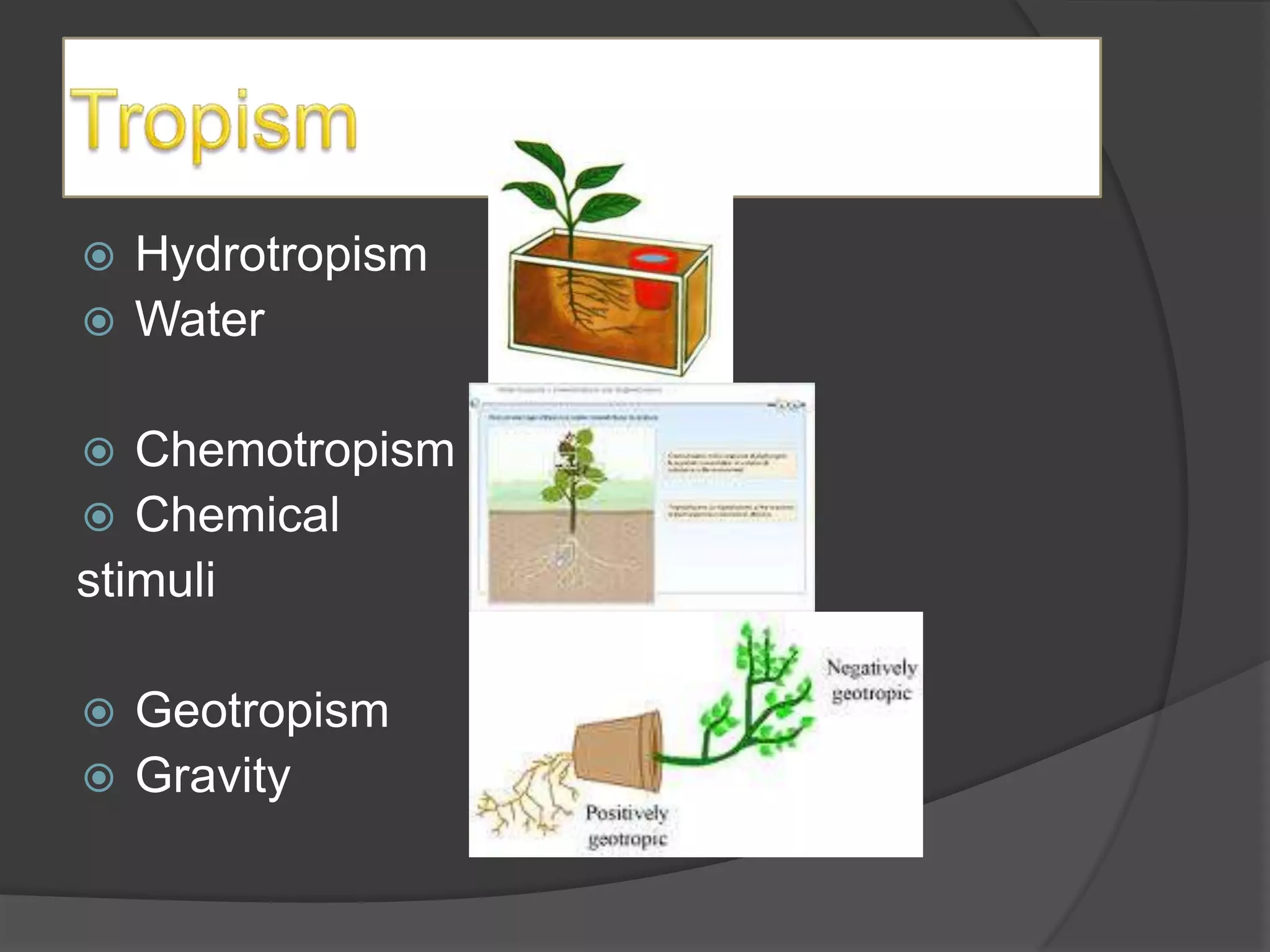  Hydrotropism
 Water


  Chemotropism
 Chemical
stimuli

 Geotropism
 Gravity
 
