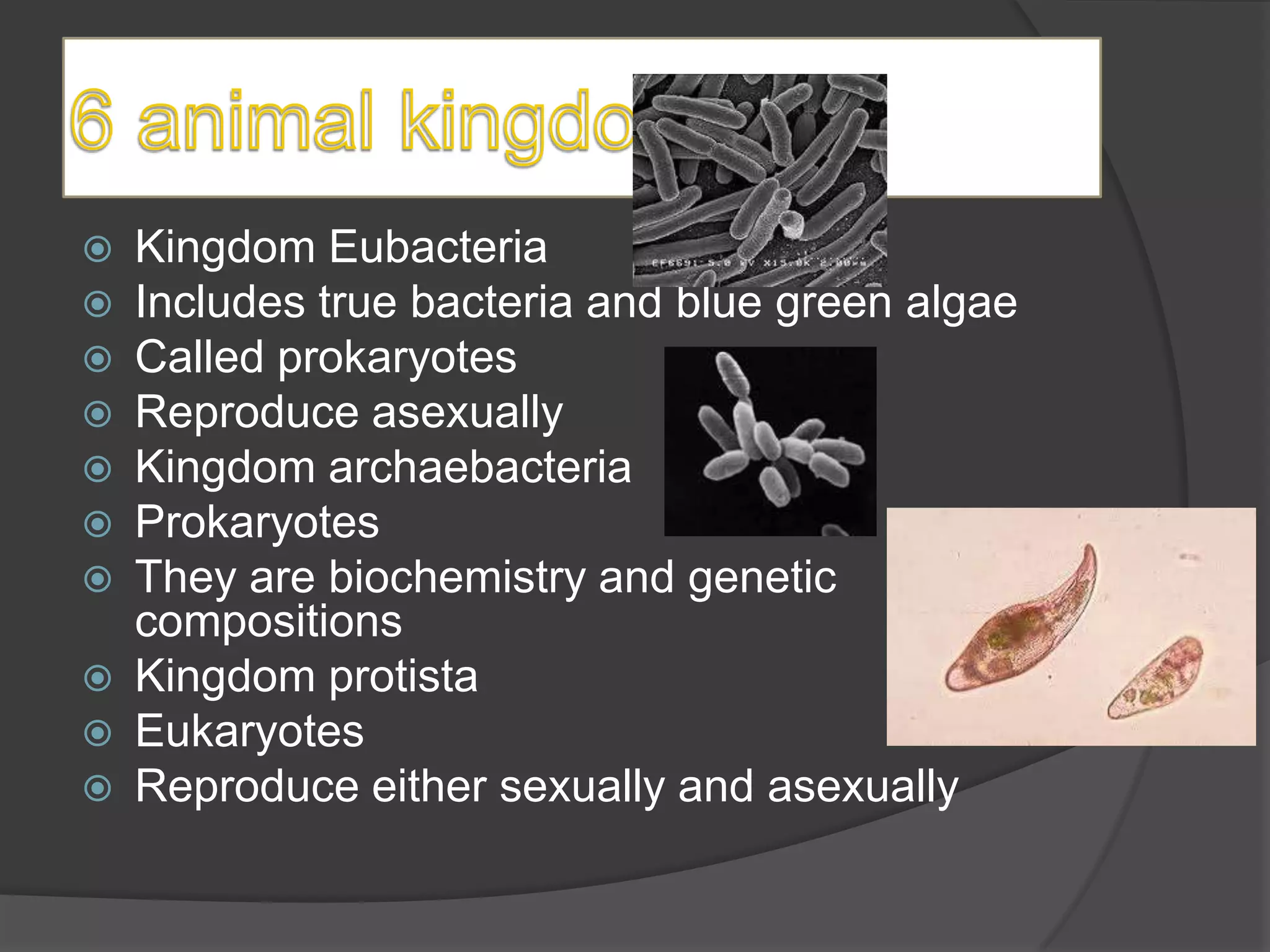    Kingdom Eubacteria
   Includes true bacteria and blue green algae
   Called prokaryotes
   Reproduce asexually
   Kingdom archaebacteria
   Prokaryotes
   They are biochemistry and genetic
    compositions
   Kingdom protista
   Eukaryotes
   Reproduce either sexually and asexually
 