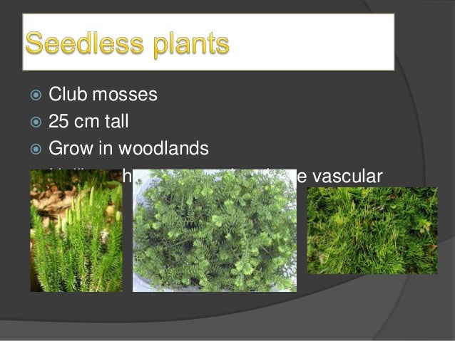 Grade 5 lessons on science