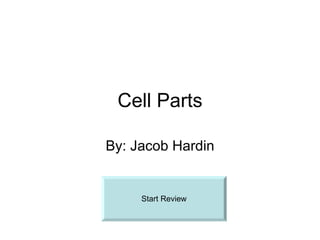 Cell Parts By: Jacob Hardin Start Review 
