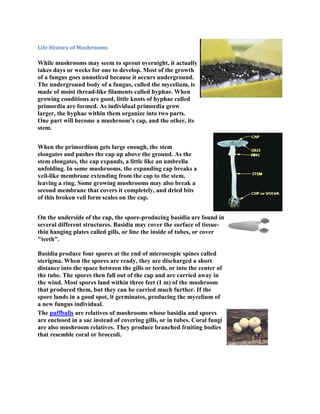Life History of Mushrooms
While mushrooms may seem to sprout overnight, it actually
takes days or weeks for one to develop. Most of the growth
of a fungus goes unnoticed because it occurs underground.
The underground body of a fungus, called the mycelium, is
made of moist thread-like filaments called hyphae. When
growing conditions are good, little knots of hyphae called
primordia are formed. As individual primordia grow
larger, the hyphae within them organize into two parts.
One part will become a mushroom’s cap, and the other, its
stem.
When the primordium gets large enough, the stem
elongates and pushes the cap up above the ground. As the
stem elongates, the cap expands, a little like an umbrella
unfolding. In some mushrooms, the expanding cap breaks a
veil-like membrane extending from the cap to the stem,
leaving a ring. Some growing mushrooms may also break a
second membrane that covers it completely, and dried bits
of this broken veil form scales on the cap.
On the underside of the cap, the spore-producing basidia are found in
several different structures. Basidia may cover the surface of tissue-
thin hanging plates called gills, or line the inside of tubes, or cover
"teeth".
Basidia produce four spores at the end of microscopic spines called
sterigma. When the spores are ready, they are discharged a short
distance into the space between the gills or teeth, or into the center of
the tube. The spores then fall out of the cap and are carried away in
the wind. Most spores land within three feet (1 m) of the mushroom
that produced them, but they can be carried much further. If the
spore lands in a good spot, it germinates, producing the mycelium of
a new fungus individual.
The puffballs are relatives of mushrooms whose basidia and spores
are enclosed in a sac instead of covering gills, or in tubes. Coral fungi
are also mushroom relatives. They produce branched fruiting bodies
that resemble coral or broccoli.
 