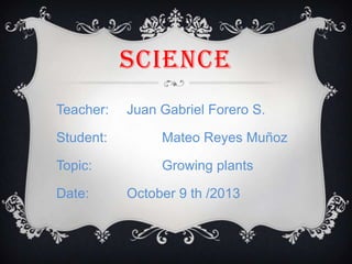 SCIENCE
Teacher:

Juan Gabriel Forero S.

Student:

Mateo Reyes Muñoz

Topic:

Growing plants

Date:

October 9 th /2013

 