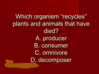 Which organism “recycles”
plants and animals that have
died?
A. producer
B. consumer
C. omnivore
D. decomposer

 