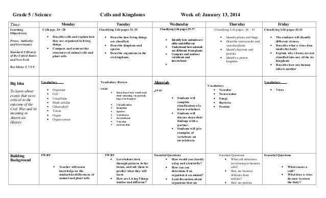 6 Kingdoms Of Living Things Chart