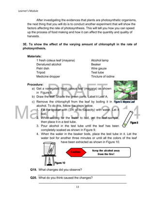 DRAFT
March 31, 2014
Learner’s Module
13
After investigating the evidences that plants are photosynthetic organisms,
the next thing that you will do is to conduct another experiment that will show the
factors affecting the rate of photosynthesis. This will tell you how you can speed
up the process of food making and how it can affect the quantity and quality of
harvests.
3E. To show the effect of the varying amount of chlorophyll in the rate of
photosynthesis.
Materials:
1 fresh coleus leaf (mayana) Alcohol lamp
Denatured alcohol Beaker
Petri dish Wire gauze
Tripod Test tube
Medicine dropper Tincture of iodine
Procedure:
a) Get a variegated fresh coleus leaf (mayana) as shown
in Figure 8.
b) Draw the leaf. Shade the green parts. Label it Leaf A.
c) Remove the chlorophyll from the leaf by boiling it in
alcohol. To do this, follow the steps below.
1. Fill the beaker with (3/4 of its capacity) with water. Let it
boil.
2. While waiting for the water to boil, get the leaf sample,
then place it in a test tube.
3. Pour alcohol in the test tube until the leaf has been
completely soaked as shown in Figure 9.
4. When the water in the beaker boils, place the test tube in it. Let the
water boil for another three minutes or until all the colors of the leaf
have been extracted as shown in Figure 10.
Q19. What changes did you observe?
____________________________________________________
Q20. What do you think caused the changes?
____________________________________________________
Keep the alcohol away
from the fire!
Caution
 