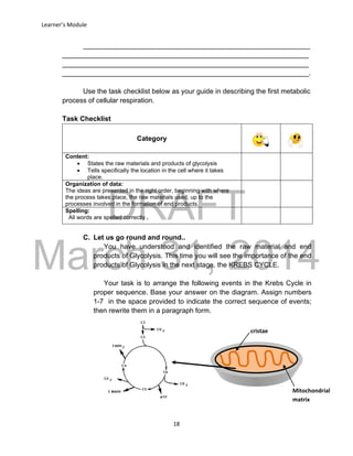 DRAFT
March 31, 2014
Learner’s Module
18
___________________________________________________________
________________________________________________________________
________________________________________________________________
________________________________________________________________.
Use the task checklist below as your guide in describing the first metabolic
process of cellular respiration.
Task Checklist
Category
Content:
 States the raw materials and products of glycolysis
 Tells specifically the location in the cell where it takes
place.
Organization of data:
The ideas are presented in the right order, beginning with where
the process takes place, the raw materials used, up to the
processes involved in the formation of end products.
Spelling:
All words are spelled correctly .
C. Let us go round and round..
You have understood and identified the raw material and end
products of Glycolysis. This time you will see the importance of the end
products of Glycolysis in the next stage, the KREBS CYCLE.
Your task is to arrange the following events in the Krebs Cycle in
proper sequence. Base your answer on the diagram. Assign numbers
1-7 in the space provided to indicate the correct sequence of events;
then rewrite them in a paragraph form.
cristae
Mitochondrial
matrix
 