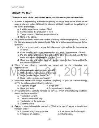 DRAFT
March 31, 2014
Learner’s Module
22
SUMMATIVE TEST:
Choose the letter of the best answer. Write your answer on your answer sheet.
1. A farmer is experiencing a problem in growing his crops. Most of the leaves of the
crops are turning yellow. Which of the following will likely result from the yellowing of
the leaves of the crops?
a. It will increase the production of food.
b. It will decrease the production of food.
c. The production of food will remain the same.
d. None of the above.
2. Abby wants to know if leaves are capable of making food during nighttime. Which of
the following experimental design should Abby do to get an accurate answer to her
question?
a. Put one potted plant in a very dark place over night and test for the presence
of starch.
b. Cover the plant with paper bag overnight and test for the presence of starch.
c. Put one potted plant under the sun and the other in a shaded area for two
hours and test for the presence of starch.
d. Cover one leaf of a potted plant with carbon paper for two hours and test for
the presence of starch.
3. Which of the following materials are cycled out by the chloroplast and
mitochondrion?
a. Carbon dioxide, water, oxygen, and ATP
b. Carbon dioxide, water, sugar and oxygen
c. Sugar, water, oxygen, and ATP
d. Sugar, water, sunlight, and oxygen
4. When cells breakdown a sugar molecule completely to produce chemical energy
(ATP), the cells need the following materials_________
a. Sugar and oxygen c. Sugar only
b. Sugar and water d. Sugar and carbon dioxide
5. A vegetable farmer wants to increase his harvest. Which of the following conditions
should the farmer consider?
a. The kind of soil only
b. The amount of water only
c. The location of the plots only
d. All of the above
6. Oxygen is essential in cellular respiration. What is the role of oxygen in the electron
transport chain?
a. It provides a high energy proton. c. It serves as the final acceptor.
b. It releases an electron. d. It forms water.
 
