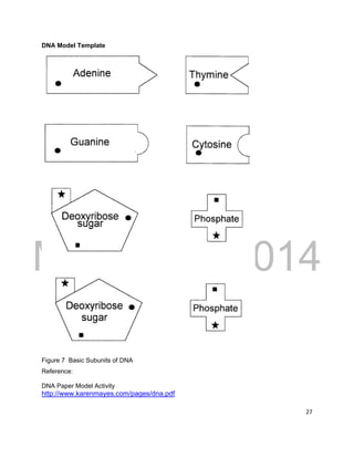 DRAFT
March 31, 2014
27
DNA Model Template
Figure 7 Basic Subunits of DNA
Reference:
DNA Paper Model Activity
http://www.karenmayes.com/pages/dna.pdf
 