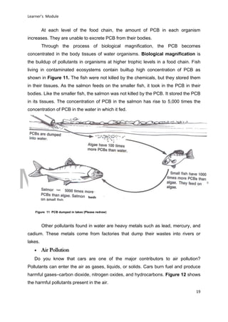 DRAFT
March 31, 2014
Learner’s Module
19
At each level of the food chain, the amount of PCB in each organism
increases. They are unable to excrete PCB from their bodies.
Through the process of biological magnification, the PCB becomes
concentrated in the body tissues of water organisms. Biological magnification is
the buildup of pollutants in organisms at higher trophic levels in a food chain. Fish
living in contaminated ecosystems contain builtup high concentration of PCB as
shown in Figure 11. The fish were not killed by the chemicals, but they stored them
in their tissues. As the salmon feeds on the smaller fish, it took in the PCB in their
bodies. Like the smaller fish, the salmon was not killed by the PCB. It stored the PCB
in its tissues. The concentration of PCB in the salmon has rise to 5,000 times the
concentration of PCB in the water in which it fed.
Other pollutants found in water are heavy metals such as lead, mercury, and
cadium. These metals come from factories that dump their wastes into rivers or
lakes.
 Air Pollution
Do you know that cars are one of the major contributors to air pollution?
Pollutants can enter the air as gases, liquids, or solids. Cars burn fuel and produce
harmful gases–carbon dioxide, nitrogen oxides, and hydrocarbons. Figure 12 shows
the harmful pollutants present in the air.
Figure 11 PCB dumped in lakes (Please redraw)
has
feeds
 