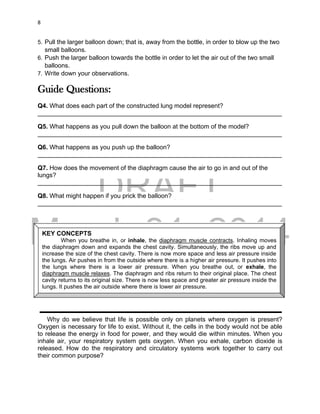 DRAFT
March 31, 2014
8
5. Pull the larger balloon down; that is, away from the bottle, in order to blow up the two
small balloons.
6. Push the larger balloon towards the bottle in order to let the air out of the two small
balloons.
7. Write down your observations.
Guide Questions:
Q4. What does each part of the constructed lung model represent?
______________________________________________________________________
Q5. What happens as you pull down the balloon at the bottom of the model?
______________________________________________________________________
Q6. What happens as you push up the balloon?
______________________________________________________________________
Q7. How does the movement of the diaphragm cause the air to go in and out of the
lungs?
______________________________________________________________________
Q8. What might happen if you prick the balloon?
______________________________________________________________________
Why do we believe that life is possible only on planets where oxygen is present?
Oxygen is necessary for life to exist. Without it, the cells in the body would not be able
to release the energy in food for power, and they would die within minutes. When you
inhale air, your respiratory system gets oxygen. When you exhale, carbon dioxide is
released. How do the respiratory and circulatory systems work together to carry out
their common purpose?
KEY CONCEPTS
When you breathe in, or inhale, the diaphragm muscle contracts. Inhaling moves
the diaphragm down and expands the chest cavity. Simultaneously, the ribs move up and
increase the size of the chest cavity. There is now more space and less air pressure inside
the lungs. Air pushes in from the outside where there is a higher air pressure. It pushes into
the lungs where there is a lower air pressure. When you breathe out, or exhale, the
diaphragm muscle relaxes. The diaphragm and ribs return to their original place. The chest
cavity returns to its original size. There is now less space and greater air pressure inside the
lungs. It pushes the air outside where there is lower air pressure.
 