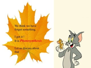 We think we have
forgot something.
I got it !
It is Photosynthesis
Let us discuss about
that
 