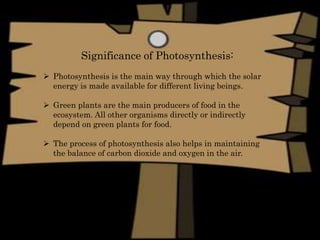 Significance of Photosynthesis:
 Photosynthesis is the main way through which the solar
energy is made available for different living beings.
 Green plants are the main producers of food in the
ecosystem. All other organisms directly or indirectly
depend on green plants for food.
 The process of photosynthesis also helps in maintaining
the balance of carbon dioxide and oxygen in the air.
 