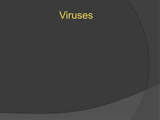 Viruses