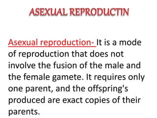 Asexual reproduction- It is a mode
of reproduction that does not
involve the fusion of the male and
the female gamete. It requires only
one parent, and the offspring's
produced are exact copies of their
parents.
 