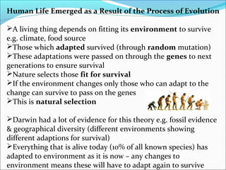Human Life Emerged as a Result of the Process of Evolution
A living thing depends on fitting its environment to survive
e.g. climate, food source
Those which adapted survived (through random mutation)
These adaptations were passed on through the genes to next
generations to ensure survival
Nature selects those fit for survival
If the environment changes only those who can adapt to the
change can survive to pass on the genes
This is natural selection
Darwin had a lot of evidence for this theory e.g. fossil evidence
& geographical diversity (different environments showing
different adaptions for survival)
Everything that is alive today (10% of all known species) has
adapted to environment as it is now – any changes to
environment means these will have to adapt again to survive
 