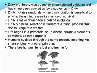  Darwin’s theory was based on circumstantial evidence but
has since been backed up by discoveries in DNA
 DNA mutates randomly; when this mutation is beneficial to
a living thing it increases its chance of survival
 DNA is major driving force behind evolution
 DNA & natural selection is therefore a ‘blind’ process that
doesn’t require a creator
 Life began in a primordial soup where inorganic elements
somehow became organic
 Humans evolved through the same process meaning we
share origins with other primates
 Therefore human life is just another life form
 