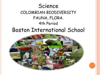 Science
COLOMBIAN BIODIVERSITY
FAUNA, FLORA.
4th Period
Boston International School
 