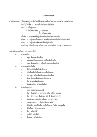 รางกายของเรา
กายวิภาคศาสตร (Anatomy) เปนวิชาที่ศึกษาโครงสรางอวัยวะและระบบตาง ๆ ของรางกาย
เซลล (Cell) - หนวยที่เล็กที่สุดของสิ่งมีชีวิต
เซลล เยื่อหุมเซลล
โปรโตพลาสซึม นิวเคลียส
ไซโตพลาสซึม
เนื้อเยื่อ - กลุมเซลลที่มีรูปรางเหมือนกันมาทํางานรวมกัน
อวัยวะ - กลุมเนื้อเยื่อหลาย ๆ ชนิดที่รวมกันทําหนาที่อยางใดอยางหนึ่ง
ระบบ - กลุมอวัยวะที่ทําหนาที่สําคัญรวมกัน
เซลล --- เนื้อเยื่อ --- อวัยวะ --- ระบบอวัยวะ --- รางกายของเรา
รางกายมีระบบอวัยวะ 10 ระบบ ดังนี้
1. ระบบหายใจ
- จมูก มีขนและเยื่อเมือก
- หลอดลมเปนกระดูกออนรูปเกือกมาซอนกัน
- ปอด มีถุงลมเล็ก ๆ เปนบริเวณแลกเปลี่ยนกาซ
2. ระบบหมุนเวียนโลหิต
- หัวใจสูบฉีดโลหิตไปทั่วรางกาย
- เสนเลือดมีเสนเลือดดํา และเสนเลือดแดง
- ไขกระดูก สรางเม็ดเลือด และเกล็ดเลือด
- มาม ทําลายเม็ดเลือดแดงที่หมดอายุ
- ตับ ทําลายเม็ดเลือดแดง
- ตอมน้ําเหลือง ทําลายเชื้อโรค
3. ระบบยอยอาหาร
- ปาก ยอยทางกลและเคมี
- ลิ้น รับรสได 4 รส หวาน เค็ม เปรี้ยว และขม
- ฟน มี 2 ชุด ฟนน้ํานม 20 ซี่ ฟนแท 32 ซี่
- ตอมน้ําลาย ผลิตน้ําลายวันละ 1 – 1.5 ลิตร
- กระเพาะอาหาร ยอยโปรตีนอยางเดียว
- ลําไสเล็ก ยอยโปรตีน คารโบไฮเดรต ไขมัน และดูดซึม
- ลําไสใหญ เก็บกากอาหาร
- ตับ สรางน้ําดี
- ถุงน้ําดี เก็บน้ําดี
- ตับออน สรางน้ํายอย
 