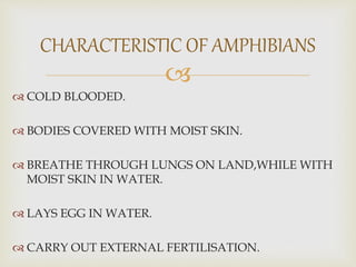 
 COLD BLOODED.
 BODIES COVERED WITH MOIST SKIN.
 BREATHE THROUGH LUNGS ON LAND,WHILE WITH
MOIST SKIN IN WATER.
 LAYS EGG IN WATER.
 CARRY OUT EXTERNAL FERTILISATION.
CHARACTERISTIC OF AMPHIBIANS
 