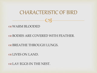 
 WARM BLOODED
 BODIES ARE COVERED WITH FEATHER.
 BREATHE THROUGH LUNGS.
 LIVES ON LAND.
 LAY EGGS IN THE NEST.
CHARACTERISTIC OF BIRD
 