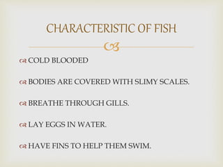 
 COLD BLOODED
 BODIES ARE COVERED WITH SLIMY SCALES.
 BREATHE THROUGH GILLS.
 LAY EGGS IN WATER.
 HAVE FINS TO HELP THEM SWIM.
CHARACTERISTIC OF FISH
 