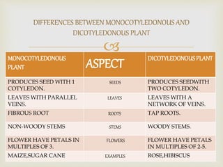 
MONOCOTYLEDONOUS
PLANT ASPECT DICOTYLEDONOUSPLANT
PRODUCES SEED WITH 1
COTYLEDON.
SEEDS PRODUCES SEEDWITH
TWO COTYLEDON.
LEAVES WITH PARALLEL
VEINS.
LEAVES LEAVES WITH A
NETWORK OF VEINS.
FIBROUS ROOT ROOTS TAP ROOTS.
NON-WOODY STEMS STEMS WOODY STEMS.
FLOWER HAVE PETALS IN
MULTIPLES OF 3.
FLOWERS FLOWER HAVE PETALS
IN MULTIPLES OF 2-5.
MAIZE,SUGAR CANE EXAMPLES ROSE,HIBISCUS
DIFFERENCES BETWEEN MONOCOTYLEDONOUS AND
DICOTYLEDONOUS PLANT
 