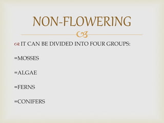 
 IT CAN BE DIVIDED INTO FOUR GROUPS:
=MOSSES
=ALGAE
=FERNS
=CONIFERS
NON-FLOWERING
 