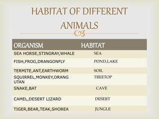 
ORGANISM HABITAT
SEA HORSE,STINGRAY,WHALE SEA
FISH,FROG,DRANGONFLY POND,LAKE
TERMITE,ANT,EARTHWORM SOIL
SQUIRREL,MONKEY,ORANG
UTAN
TREETOP
SNAKE,BAT CAVE
CAMEL,DESERT LIZARD DESERT
TIGER,BEAR,TEAK,SHOREA JUNGLE
HABITAT OF DIFFERENT
ANIMALS
 