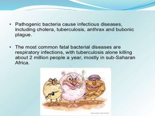 Bacteria Class 9 Science