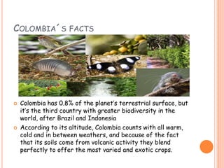 COLOMBIA´S FACTS
 Colombia has 0.8% of the planet’s terrestrial surface, but
it’s the third country with greater biodiversity in the
world, after Brazil and Indonesia
 According to its altitude, Colombia counts with all warm,
cold and in between weathers, and because of the fact
that its soils come from volcanic activity they blend
perfectly to offer the most varied and exotic crops.
 