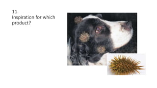 11.
Inspiration for which
product?
 