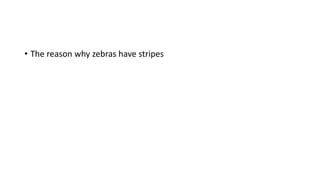 • The reason why zebras have stripes
 