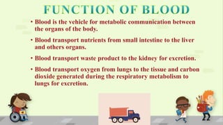 • Blood is the vehicle for metabolic communication between
the organs of the body.
• Blood transport nutrients from small intestine to the liver
and others organs.
• Blood transport waste product to the kidney for excretion.
• Blood transport oxygen from lungs to the tissue and carbon
dioxide generated during the respiratory metabolism to
lungs for excretion.
 