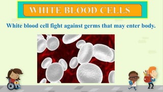 White blood cell fight against germs that may enter body.
 