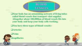 Your body has an astonishing network of living tubes
called blood vessels that transport vital supplies.
Altogether about 100,000km of blood vessels fits into
your body and keep your body cells working.
You have three types of blood vessels:-
Arteries
Veins
capillaries
 