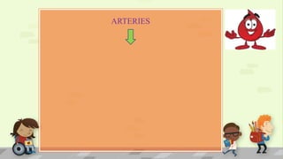 ARTERIES
 
