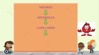 ARTERIES
ARTERIOLES
CAPILLARIES
 
