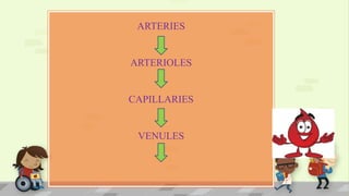 ARTERIES
ARTERIOLES
CAPILLARIES
VENULES
 