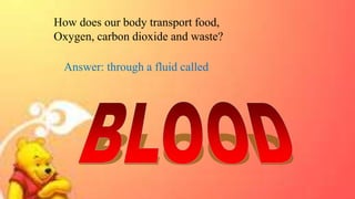 How does our body transport food,
Oxygen, carbon dioxide and waste?
Answer: through a fluid called
 