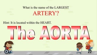 What is the name of the LARGEST
ARTERY?
Hint: It is located within the HEART.
 