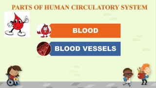 BLOOD
BLOOD VESSELS
 