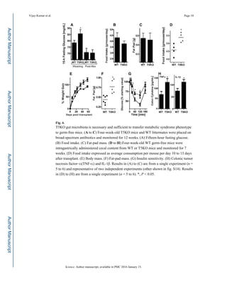 Fig. 4.
T5KO gut microbiota is necessary and sufficient to transfer metabolic syndrome phenotype
to germ-free mice. (A to C) Four-week-old T5KO mice and WT littermates were placed on
broad-spectrum antibiotics and monitored for 12 weeks. (A) Fifteen-hour fasting glucose.
(B) Food intake. (C) Fat-pad mass. (D to H) Four-week-old WT germ-free mice were
intragastrically administered cecal content from WT or T5KO mice and monitored for 7
weeks. (D) Food intake expressed as average consumption per mouse per day 10 to 13 days
after transplant. (E) Body mass. (F) Fat-pad mass. (G) Insulin sensitivity. (H) Colonic tumor
necrosis factor–α(TNF-α) and IL-1β. Results in (A) to (C) are from a single experiment (n =
5 to 6) and representative of two independent experiments (other shown in fig. S14). Results
in (D) to (H) are from a single experiment (n = 5 to 6). *, P < 0.05.
Vijay-Kumar et al. Page 10
Science. Author manuscript; available in PMC 2016 January 15.
AuthorManuscriptAuthorManuscriptAuthorManuscriptAuthorManuscript
 