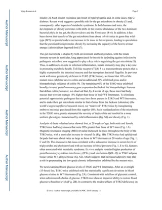 insulin (2). Such insulin resistance can result in hyperglycemia and, in some cases, type 2
diabetes. Recent work suggests a possible role for the gut microbiota in obesity (3) and,
consequently, other aspects of metabolic syndrome. In both humans and mice, the
development of obesity correlates with shifts in the relative abundance of the two dominant
bacterial phyla in the gut, the Bacteroidetes and the Firmicutes (4–6). In addition, it has
been shown that transfer of the gut microbiota from obese (ob/ob) mice to germ-free wild-
type (WT) recipients leads to an increase in fat mass in the recipients, leading to speculation
that the gut microbiota promotes obesity by increasing the capacity of the host to extract
energy (calories) from ingested food (7).
The gut microbiota is shaped by both environment and host genetics, with the innate
immune system in particular, long appreciated for its role in defending against infection by
pathogenic microbes, now suggested to play a key role in regulating the gut microbiota (8).
Thus, in addition to its role in infection/inflammation, innate immunity may play a key role
in promoting metabolic health. Toll-like receptor (TLR) 5 is a transmembrane protein that is
highly expressed in the intestinal mucosa and that recognizes bacterial flagellin. In previous
work with mice genetically deficient in TLR5 (T5KO mice), we found that 10% of the
mutant mice exhibited severe colitis and an additional 30% exhibited gross and/or
histopathologic evidence of colitis (9). The remaining 60% of the T5KO mice exhibited
broadly elevated proinflammatory gene expression but lacked the histopathologic features
that define colitis; however, we observed that, by 4 weeks of age, these mice had body
masses that were on average 15% higher than those of their WT littermates. To eliminate
potential opportunistic pathogens that may have been present in T5KO and WT littermates,
and to make their gut microbiota similar to that of mice from the Jackson Laboratory (the
world’s largest supplier of research mice), we “rederived” T5KO mice by transplanting
embryos into mice purchased from this supplier (10). Such standardization of the microbiota
in the T5KO mice greatly attenuated the severity of their colitis and resulted in a more
uniform phenotype characterized by mild inflammation (fig. S1) and obesity (Fig. 1).
Analysis of these rederived mice showed that, at 20 weeks of age, both male and female
T5KO mice had body masses that were 20% greater than those of WT mice (Fig. 1A).
Magnetic resonance imaging (MRI) revealed increased fat mass throughout the body of the
T5KO mice, with a particular increase in visceral fat (Fig. 1B). T5KO mice had epididymal
fat pads that were about twice as large as those in WT littermates at 20 weeks of age (Fig. 1,
C and D). This increase in fat mass correlated with a substantial increase in serum levels of
triglycerides and cholesterol and with an increase in blood pressure (Fig. 1, E to G), features
often associated with metabolic syndrome. Ex vivo analysis revealed higher production of
proinflammatory cytokines interferon-γ (IFN-γ) and interleukin-1β(IL-1β) in T5KO adipose
tissue versus WT adipose tissue (fig. S2), which suggests that increased adiposity may play
a role in perpetuating the low-grade chronic inflammation exhibited by the mutant mice.
We next examined blood glucose levels of T5KO and WT littermates. After an overnight
(15-hour) fast, T5KO mice exhibited mild but statistically significant elevations in blood
glucose relative to WT littermates (Fig. 2A). Consistent with mild loss of glycemic control,
when administered a bolus of glucose, T5KO mice showed impaired ability to restore blood
glucose to baseline levels (Fig. 2B). In contrast to the modest effects of T5KO deficiency on
Vijay-Kumar et al. Page 2
Science. Author manuscript; available in PMC 2016 January 15.
AuthorManuscriptAuthorManuscriptAuthorManuscriptAuthorManuscript
 