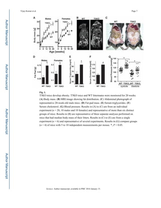 Fig. 1.
T5KO mice develop obesity. T5KO mice and WT littermates were monitored for 20 weeks.
(A) Body mass. (B) MRI image showing fat distribution. (C) Abdominal photograph of
representative 20-week-old male mice. (D) Fat-pad mass. (E) Serum triglycerides. (F)
Serum cholesterol. (G) Blood pressure. Results in (A) to (C) are from an individual
experiment (n = 20, 10 males and 10 females) and representative of more than six distinct
groups of mice. Results in (B) are representative of three separate analyses performed on
mice that had median body mass of their litters. Results in (C) to (E) are from a single
experiment (n = 6) and representative of several experiments. Results in (G) compare groups
(n = 4) of mice with 5 to 10 independent measurements per mouse. *, P < 0.05.
Vijay-Kumar et al. Page 7
Science. Author manuscript; available in PMC 2016 January 15.
AuthorManuscriptAuthorManuscriptAuthorManuscriptAuthorManuscript
 