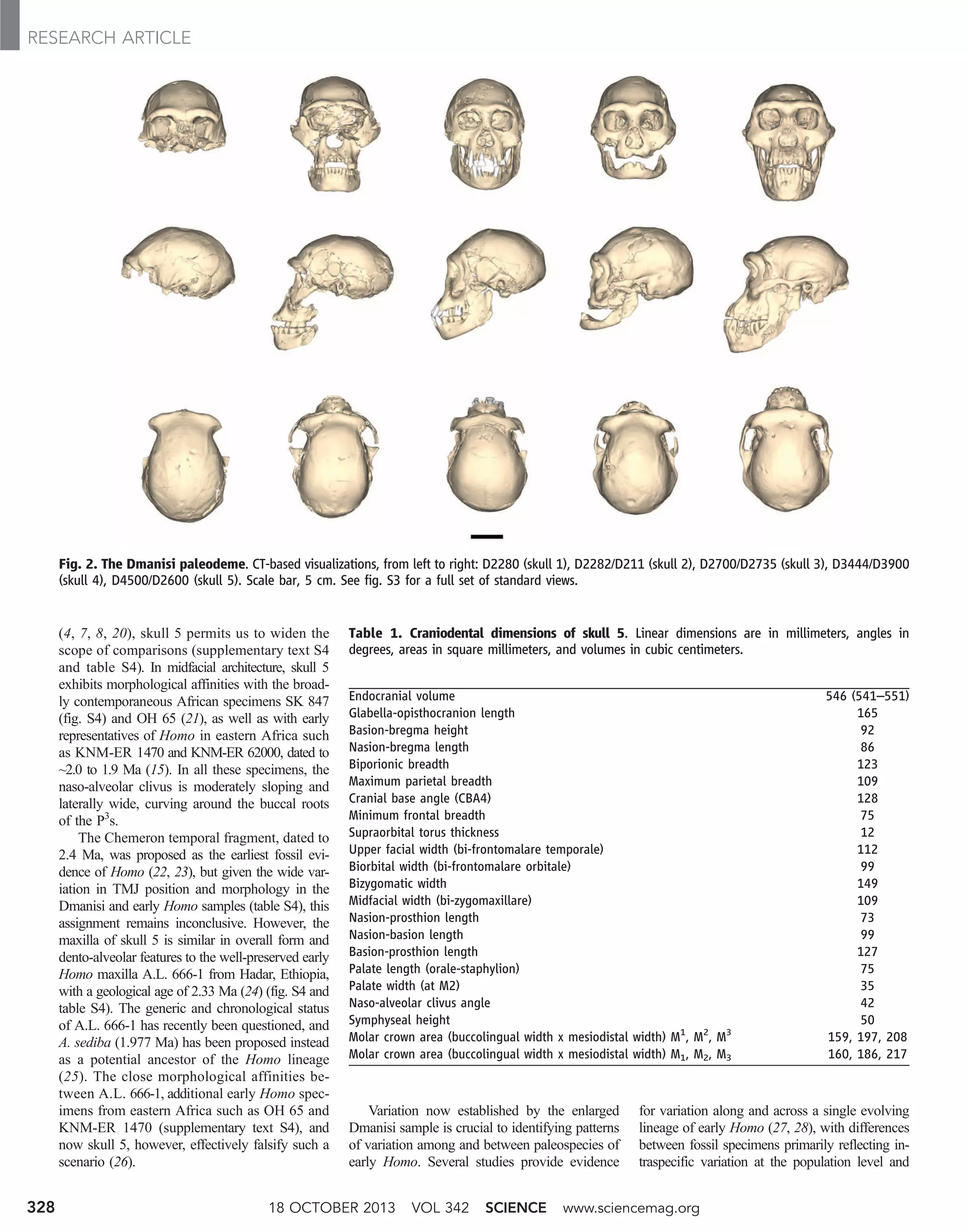 A Complete Skull from Dmanisi, Georgia, and the Evolutionary Biology of