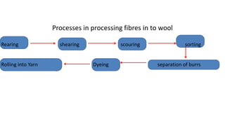 Processes in processing fibres in to wool
Rearing shearing scouring sorting
Rolling into Yarn Dyeing separation of burrs
 