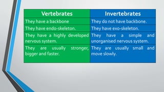 Science presentation on vertebrates and invertebrates. It has different ...